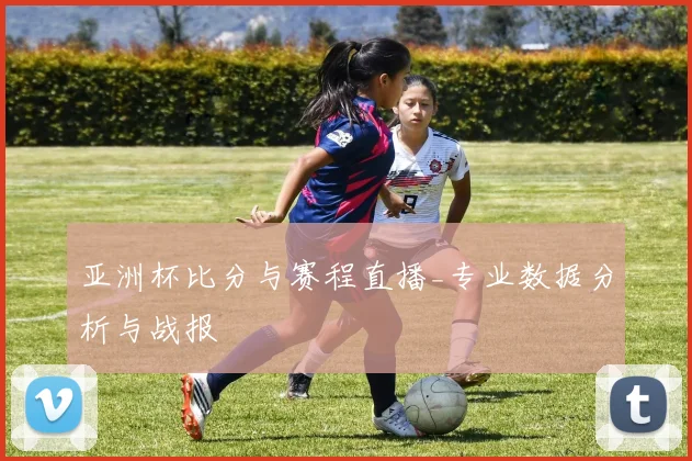 亚洲杯比分与赛程直播_专业数据分析与战报