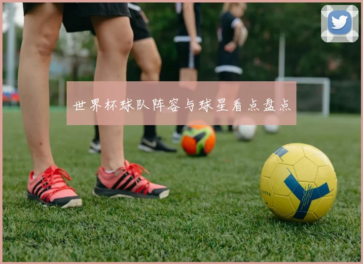 世界杯球队阵容与球星看点盘点