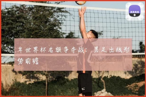 年世界杯名额争夺战：男足出线形势前瞻